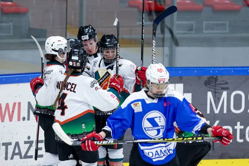 Ice Hockey. Tauron Liga. Kojotki Naprzod Janow - Stoczniowiec Gdansk. 24.02.2024