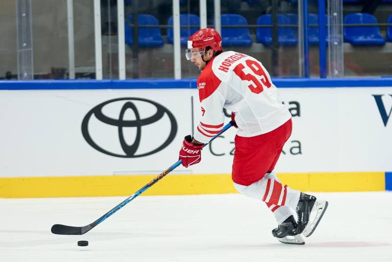 Ice Hockey. Friendly Match. Poland - Hungary. 12.04.2024