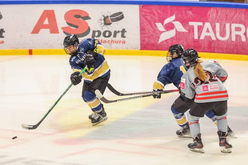 Ice Hockey. EWHL. TAURON Metropolia Silesia - KSV Neuberg Highlanders. 01.10.2023