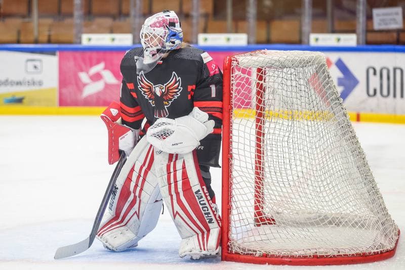 Ice Hockey. EWHL. Tauron Metropolia Silesia - Budapest Jegkorong Akademia. 21.10.2023