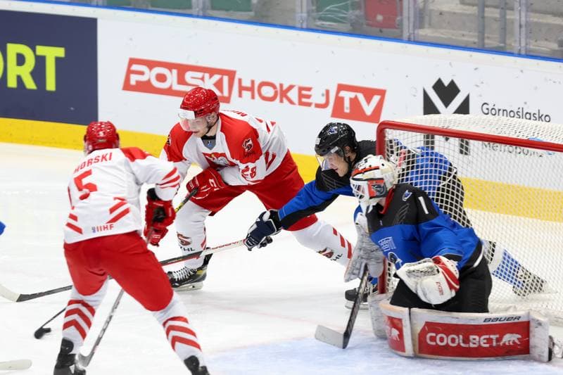Ice Hockey. Olympic Qualification. Poland - Estonia. 08.02.2024