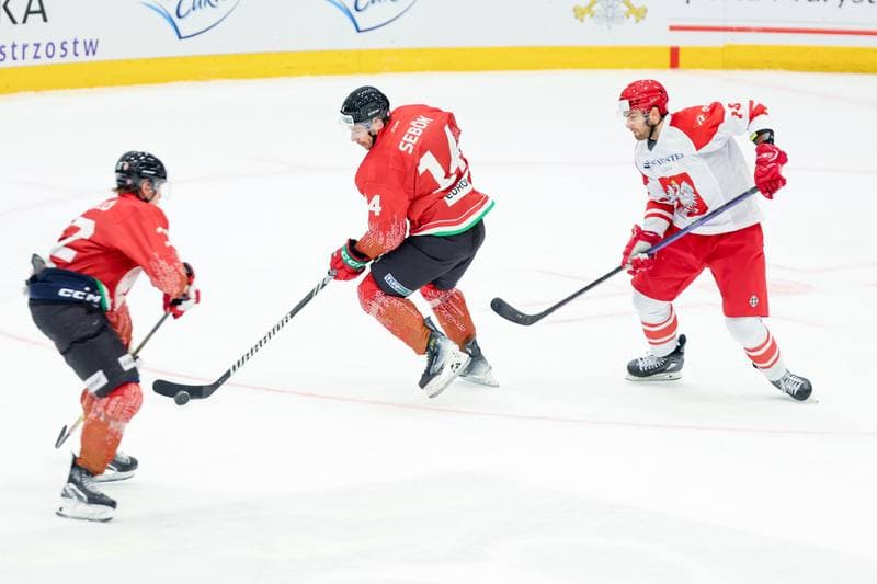 Ice Hockey. Friendly Match. Poland - Hungary. 12.04.2024