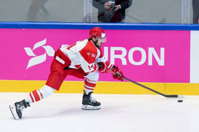 Ice Hockey. Friendly Match. Poland - Hungary. 13.04.2024