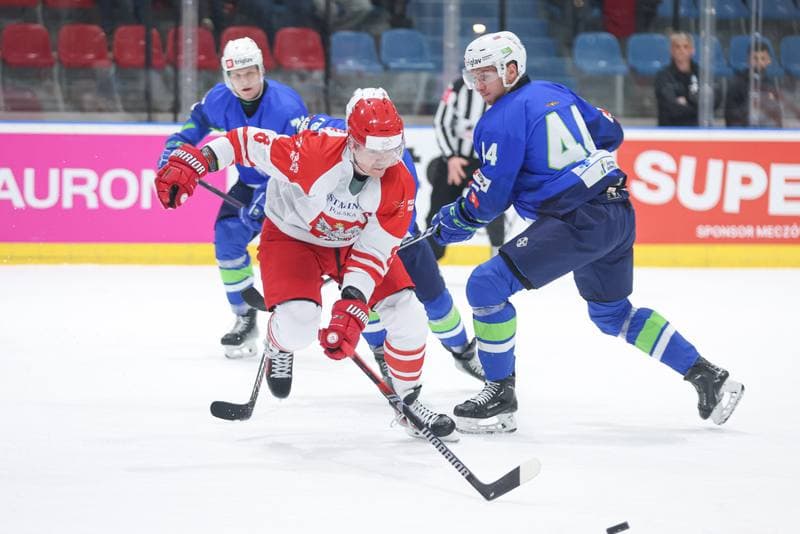 Ice Hockey. Friendly Match. Poland - Slovenia. 18.04.2024