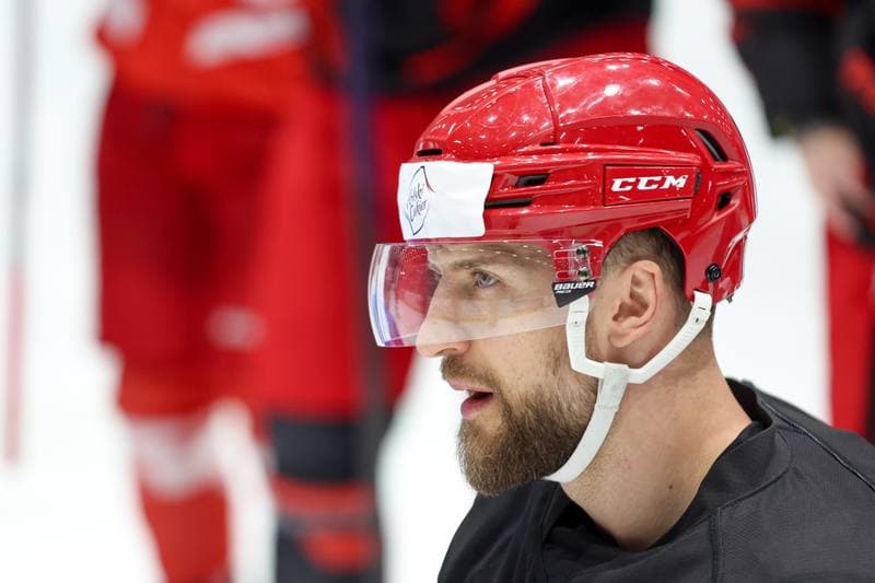 Ice Hockey. Poland national team. Training. 30.04.2024
