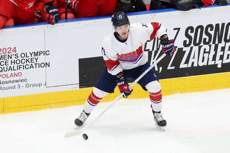 Ice Hockey. Olympic Qualification. Korea - Poland. 11.02.2024