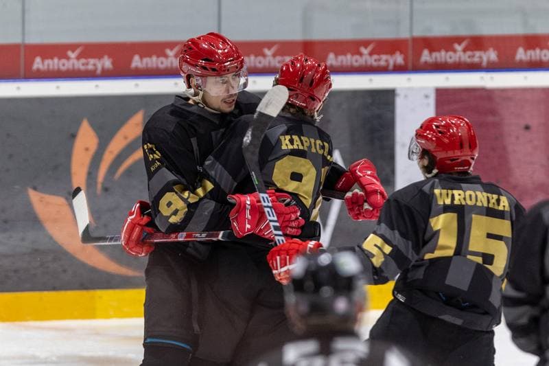 Ice Hockey. PHL. JKH GKS Jastrzebie - Comarch Cracovia. 06.01.2023