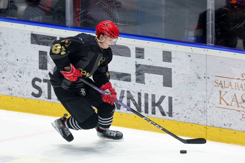 Ice Hockey. Tauron Hokej Liga. Re-Plast Unia Oswiecim - Comarch Cracovia. 01.03.2024
