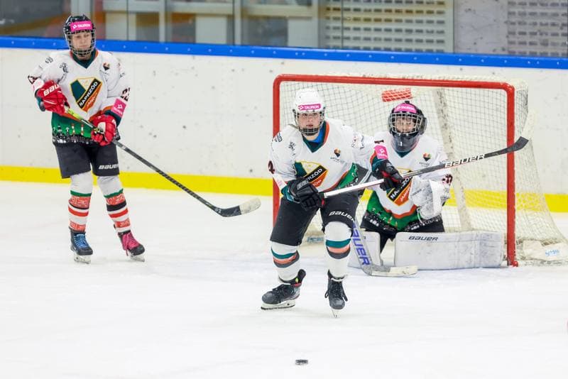 Ice Hockey. Tauron Liga Hokeja Kobiet. Kojotki Naprzod Janow - SMS Polonia Bytom. 09.09.2023