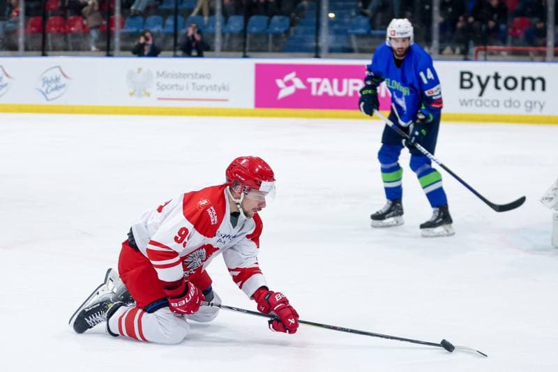 Ice Hockey. Friendly Match. Poland - Slovenia. 18.04.2024
