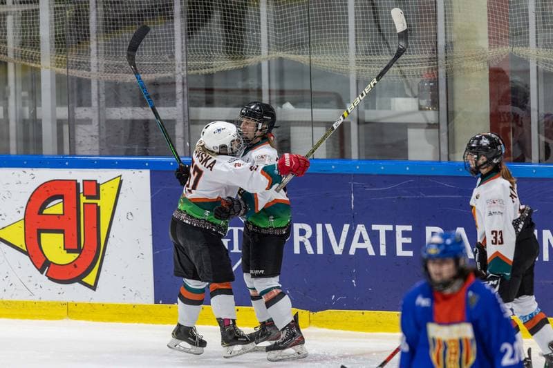 Ice Hockey. PLHK. Kojotki Naprzod Janow - BS Polonia Bytom. 09.11.2022