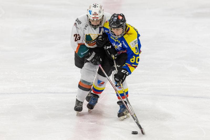 Ice Hockey. PLHK. Kojotki Naprzod Janow - MMKS Podhale Nowy Targ. 12.11.2022