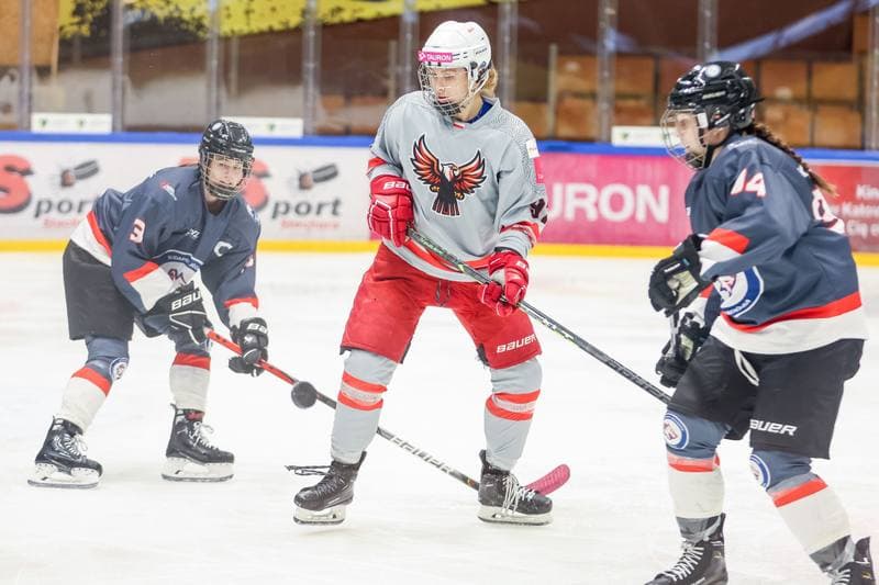 Ice Hockey. EWHL. Tauron Metropolia Silesia - Budapest Jegkorong Akademia. 22.10.2023