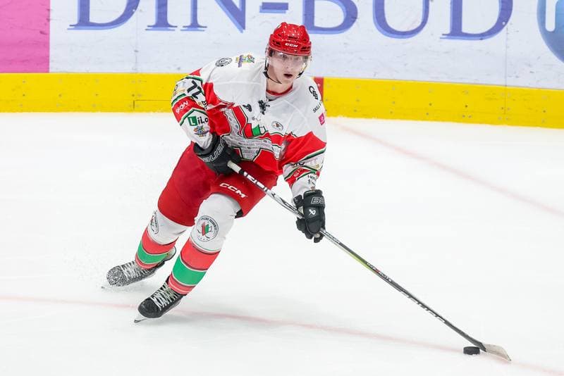 Ice Hockey. Tauron Hokej Liga. Zaglebie Sosnowiec - GKS Katowice. 03.11.2023