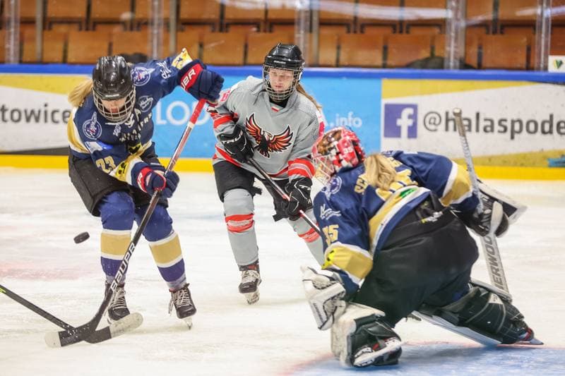 Ice Hockey. EWHL. TAURON Metropolia Silesia - KSV Neuberg Highlanders. 30.09.2023