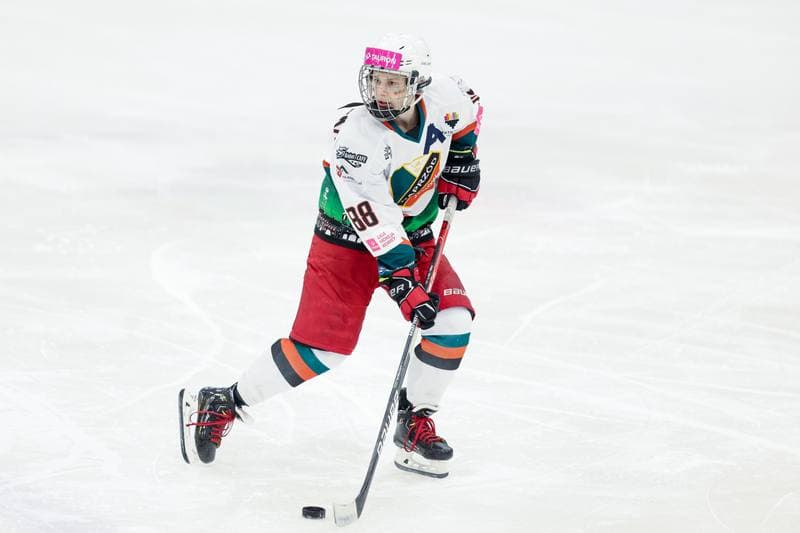 Ice Hockey. Tauron Liga. Kojotki Naprzod Janow - Stoczniowiec Gdansk. 24.02.2024