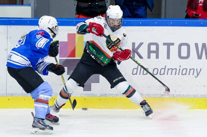 Ice Hockey. Tauron Liga. Kojotki Naprzod Janow - Stoczniowiec Gdansk. 24.02.2024
