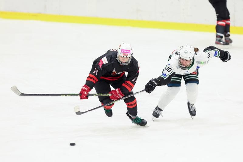 Ice Hockey. EWHL. Tauron Metropolia Silesia - EC Graz Huskies. 02.03.2024