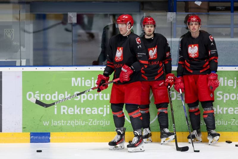 Ice Hockey. Poland national team. Training. 02.04.2024