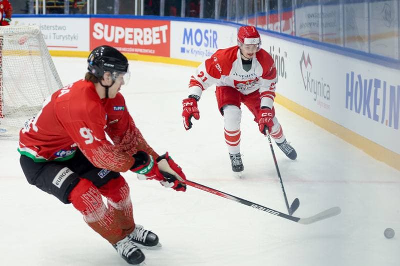 Ice Hockey. Friendly Match. Poland - Hungary. 13.04.2024
