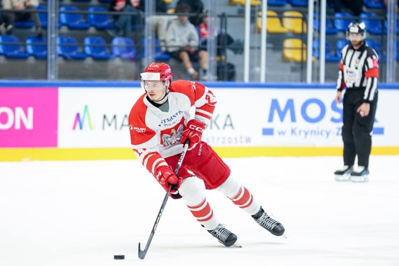 Ice Hockey. Friendly Match. Poland - Hungary. 13.04.2024
