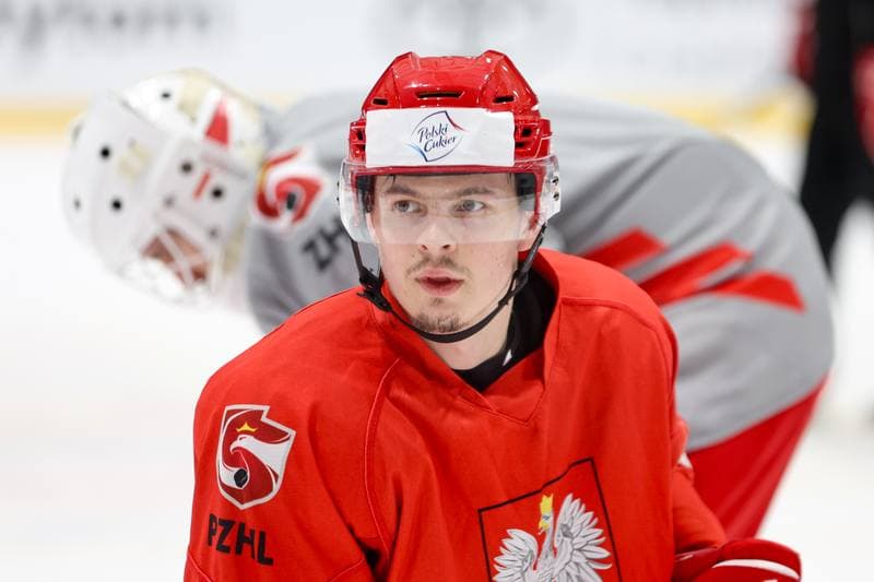 Ice Hockey. Poland national team. Training. 16.04.2024
