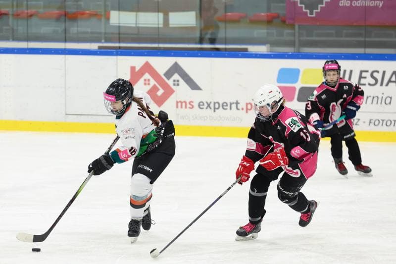 Ice Hockey. Tauron Liga Hokeja Kobiet. Kojotki Naprzod Janow - Kozice Poznan. 20.01.2024