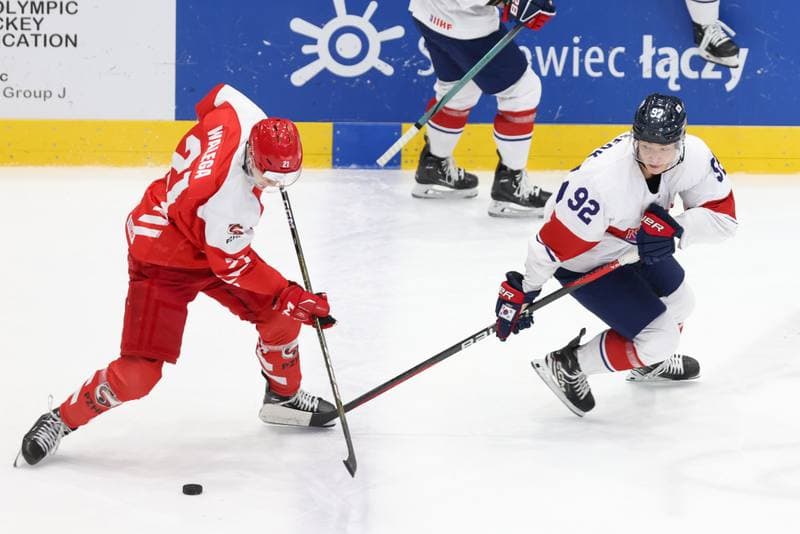 Ice Hockey. Olympic Qualification. Korea - Poland. 11.02.2024