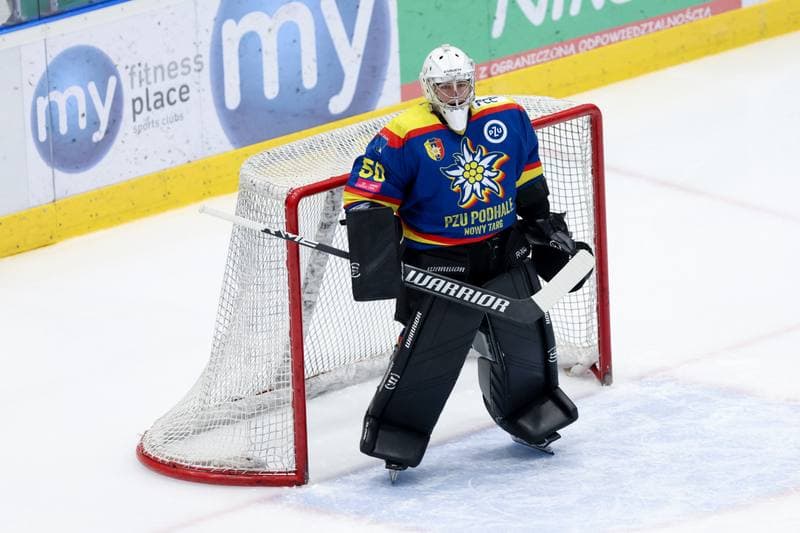 Ice Hockey. Tauron Hokej Liga. Zaglebie Sosnowiec - PZU Podhale Nowy Targ. 14.02.2024