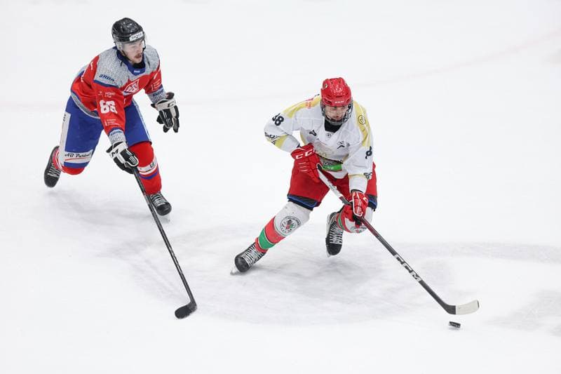 Ice Hockey. Tauron Hokej Liga. Zaglebie Sosnowiec - Marma Ciarko STS Sanok. 23.02.2024