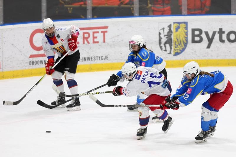 Ice Hockey. Tauron Liga Kobiet. Polonia Bytom - UKKH Unia Oswiecim. 24.02.2024