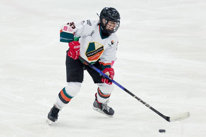 Ice Hockey. Tauron Liga. Kojotki Naprzod Janow - Stoczniowiec Gdansk. 24.02.2024