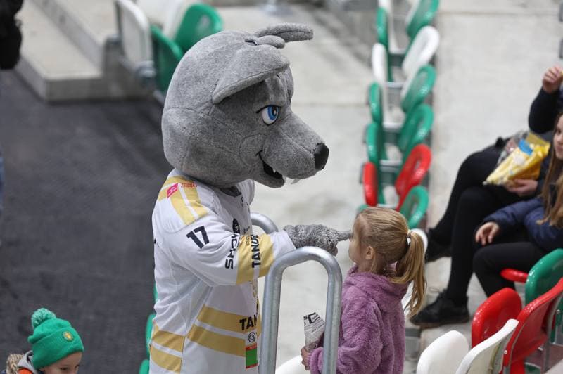 Ice Hockey. Tauron Hokej Liga. Zaglebie Sosnowiec - GKS Tychy. 27.02.2024