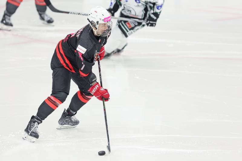 Ice Hockey. EWHL. Tauron Metropolia Silesia - EC Graz Huskies. 02.03.2024