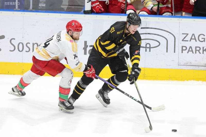 Ice Hockey. Tauron Hokej Liga. Zaglebie Sosnowiec - GKS Katowice. 12.03.2024