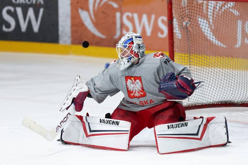 Ice Hockey. Poland national team. Training. 02.04.2024