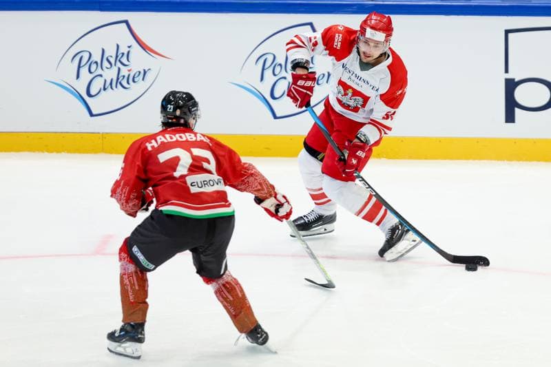 Ice Hockey. Friendly Match. Poland - Hungary. 12.04.2024