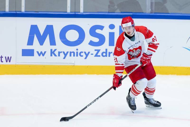Ice Hockey. Friendly Match. Poland - Hungary. 13.04.2024