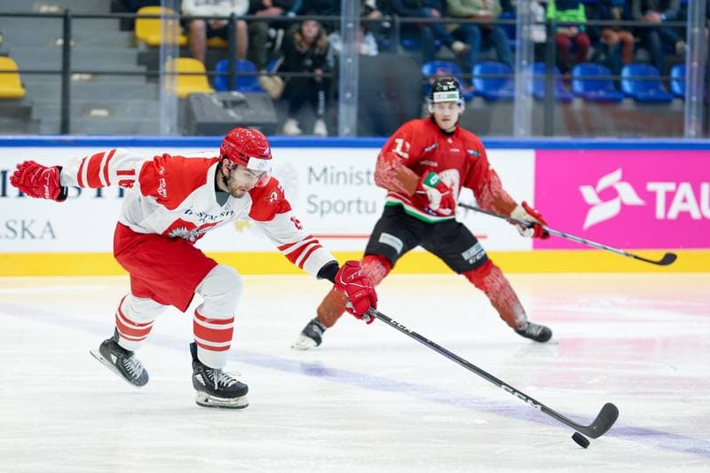 Ice Hockey. Friendly Match. Poland - Hungary. 13.04.2024
