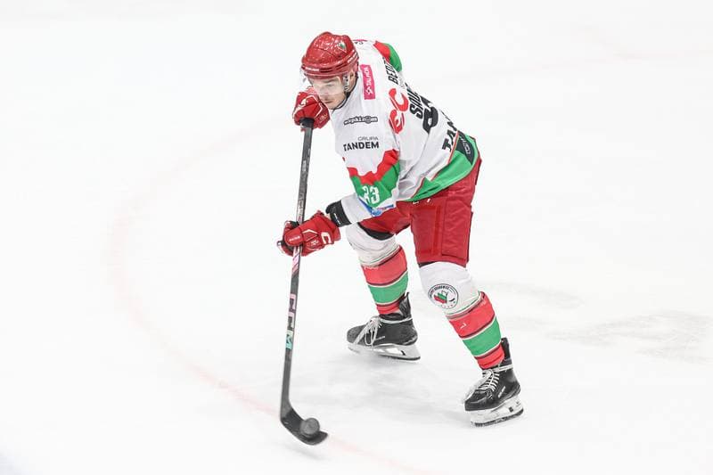 Ice Hockey. Tauron Hokej Liga. EC Bedzin Zaglebie Sosnowiec - GKS Katowice. 01.12.2024