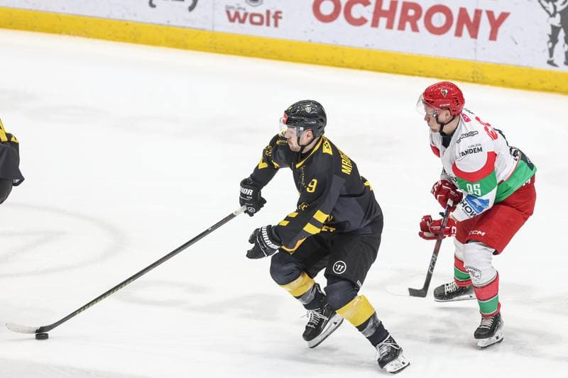 Ice Hockey. Tauron Hokej Liga. EC Bedzin Zaglebie Sosnowiec - GKS Katowice. 01.12.2024