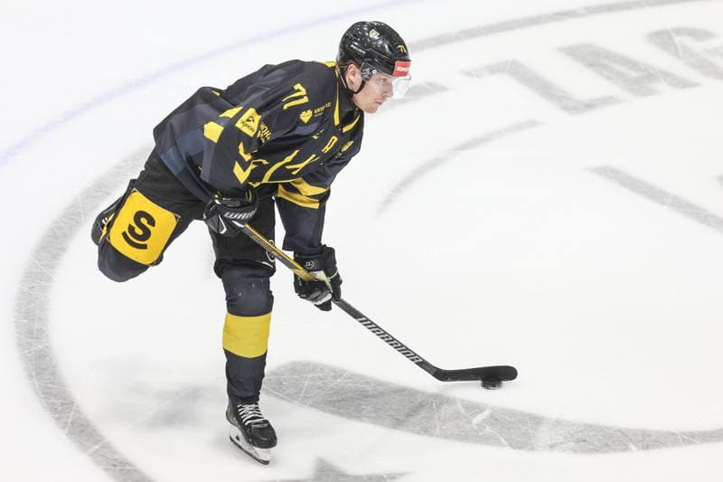 Ice Hockey. Tauron Hokej Liga. EC Bedzin Zaglebie Sosnowiec - GKS Katowice. 01.12.2024