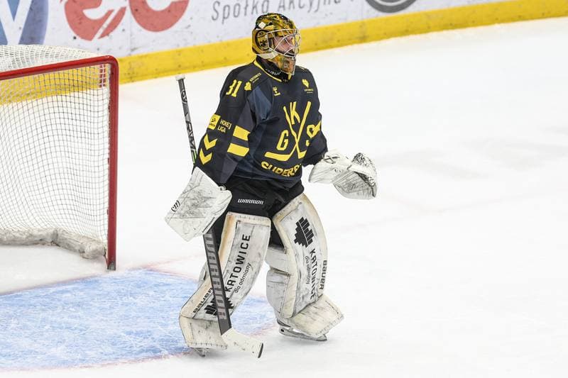 Ice Hockey. Tauron Hokej Liga. EC Bedzin Zaglebie Sosnowiec - GKS Katowice. 01.12.2024