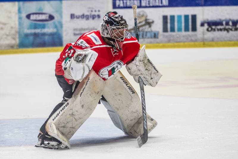 Ice Hockey. PHL. Re-Plast Unia Oswiecim - Zaglebie Sosnowiec. 27.09.2019