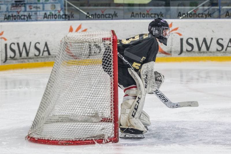 Ice Hockey. PHL. JKH GKS Jastrzebie - Comarch Cracovia. 29.10.2019