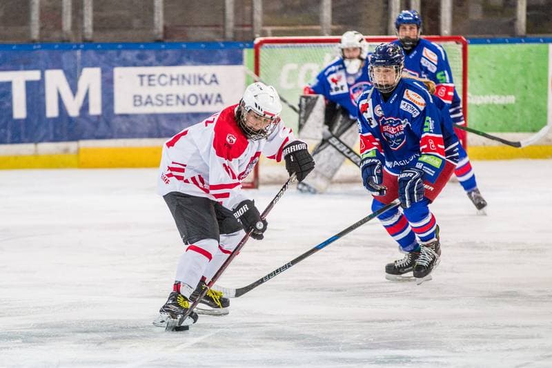 Ice Hockey. EWHL. Silesia Breckens - Hvidovre IK Selects. 30.11.2019