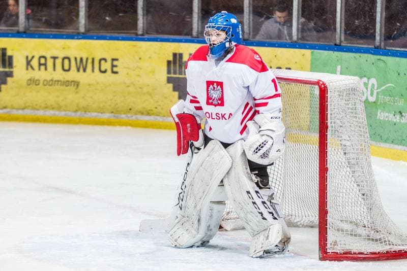 Ice Hockey. EWHL. Silesia Breckens - Hvidovre IK Selects. 01.12.2019