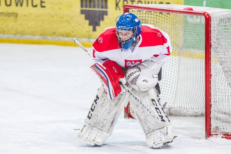 Ice Hockey. EWHL. Silesia Breckens - Hvidovre IK Selects. 01.12.2019