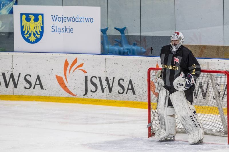 Ice Hockey. PHL. JKH GKS Jastrzebie - Comarch Cracovia. 23.02.2020