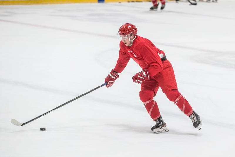 Ice Hockey. Poland national team. Training. 02.11.2020
